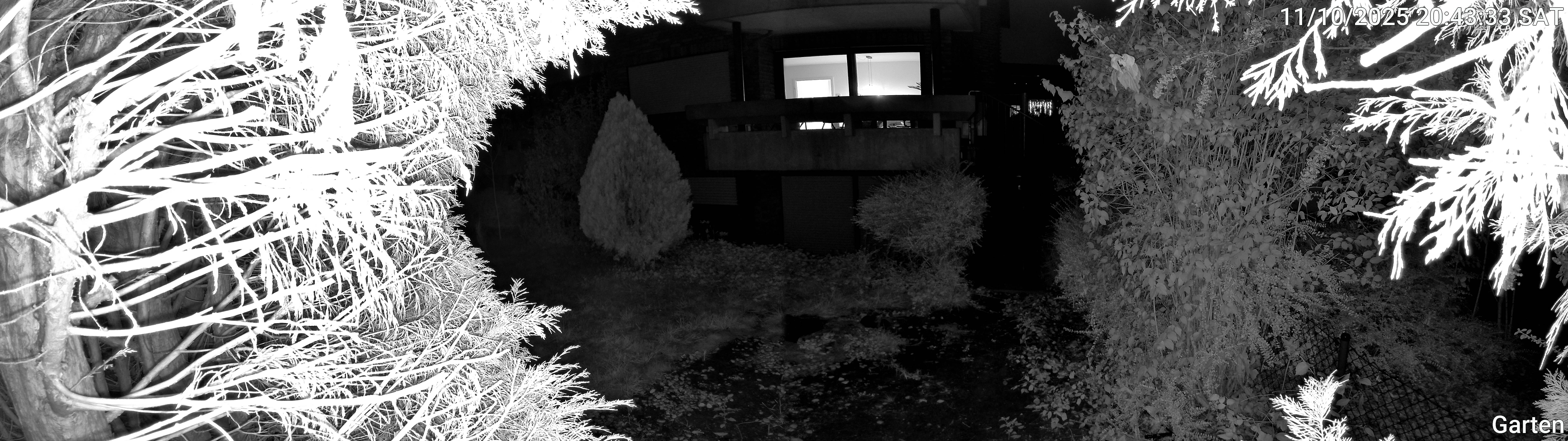 Garten_00_20251011204333.jpg