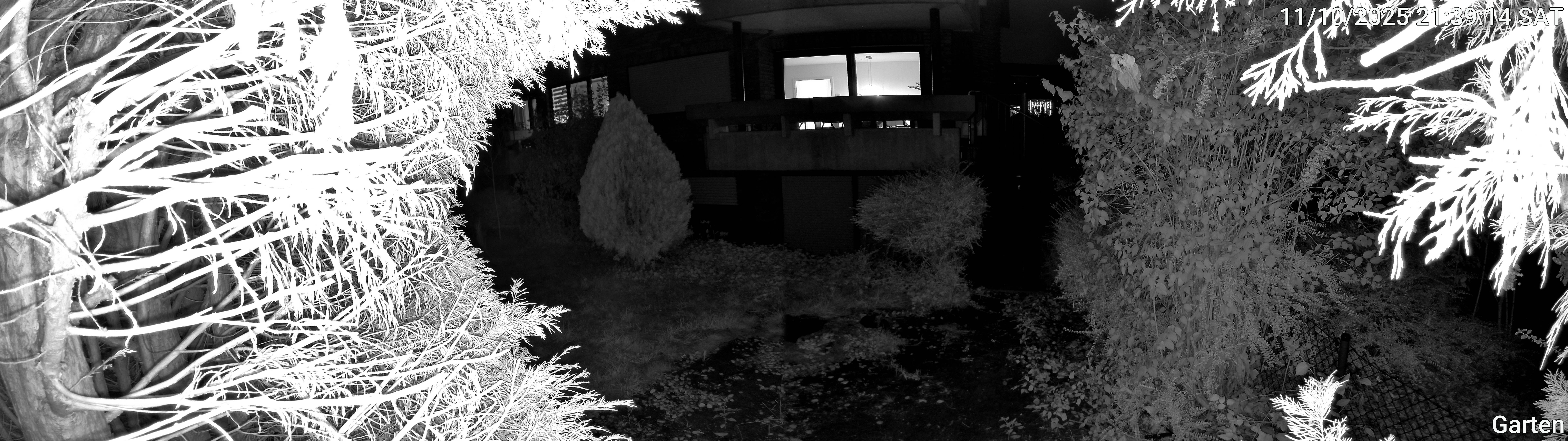 Garten_00_20251011213914.jpg