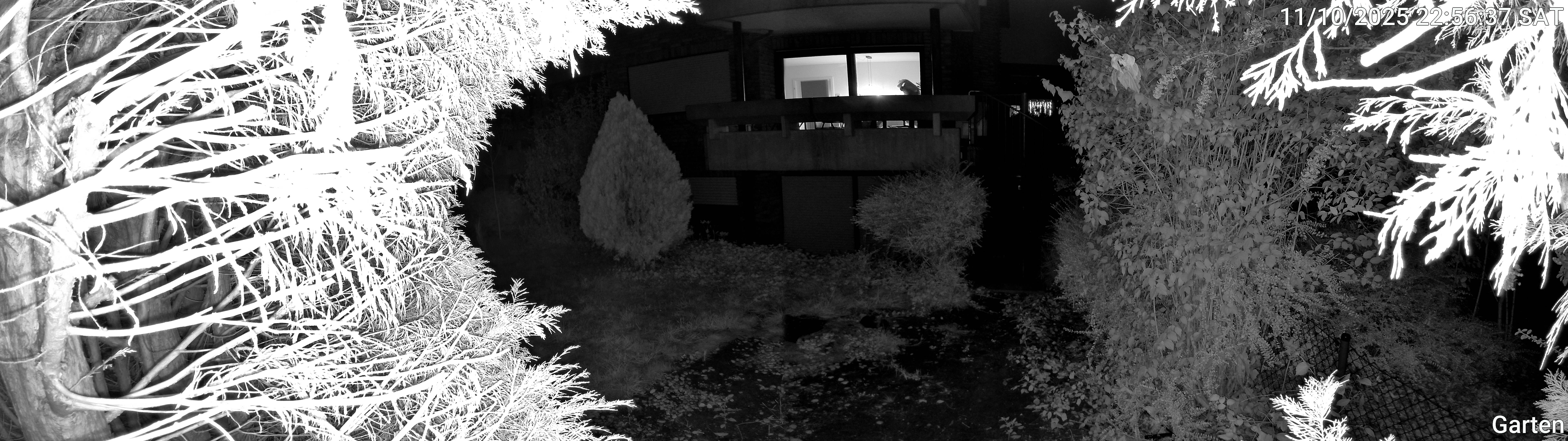 Garten_00_20251011225637.jpg