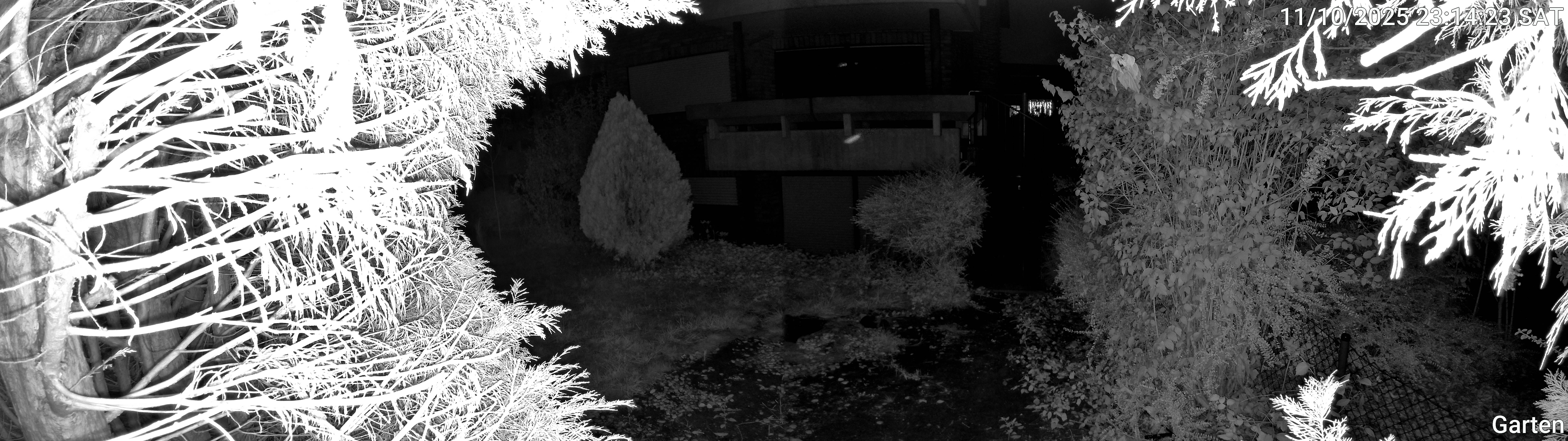 Garten_00_20251011231424.jpg