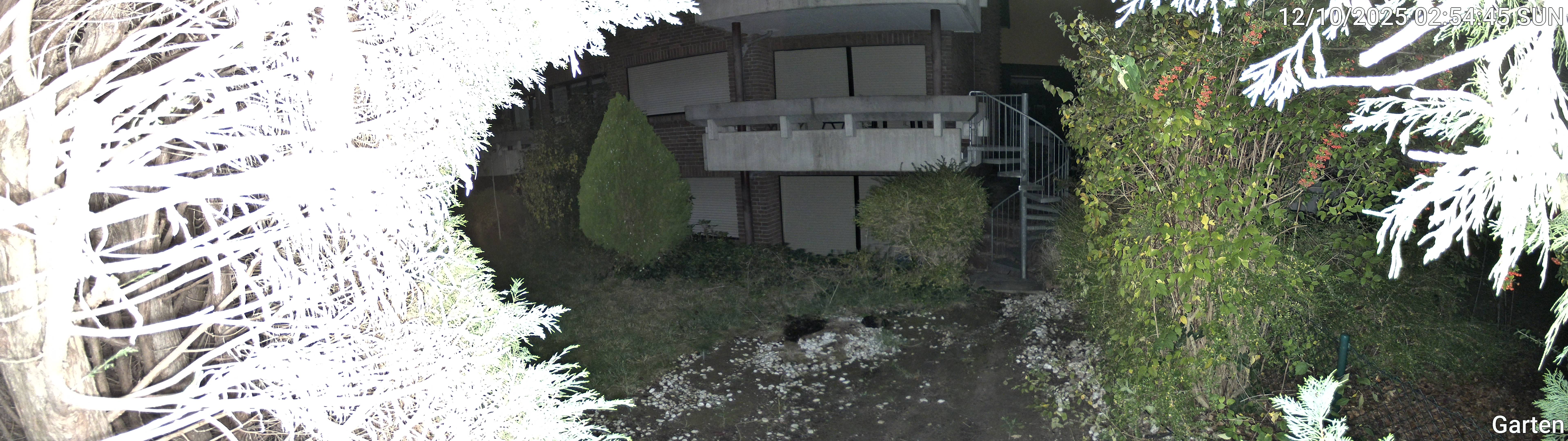 Garten_00_20251012025446.jpg