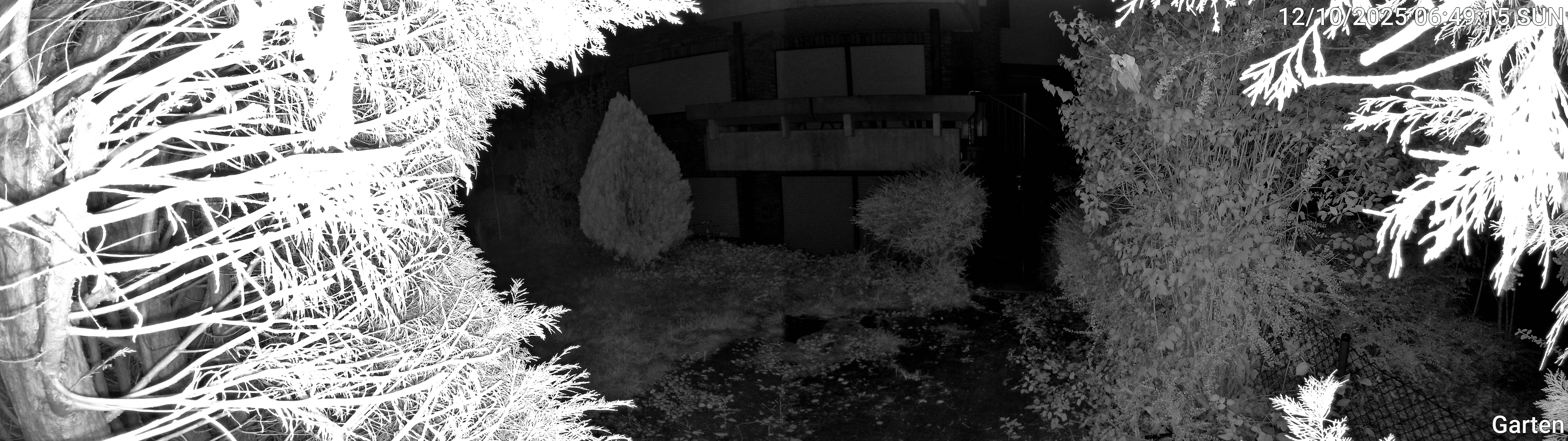 Garten_00_20251012064915.jpg