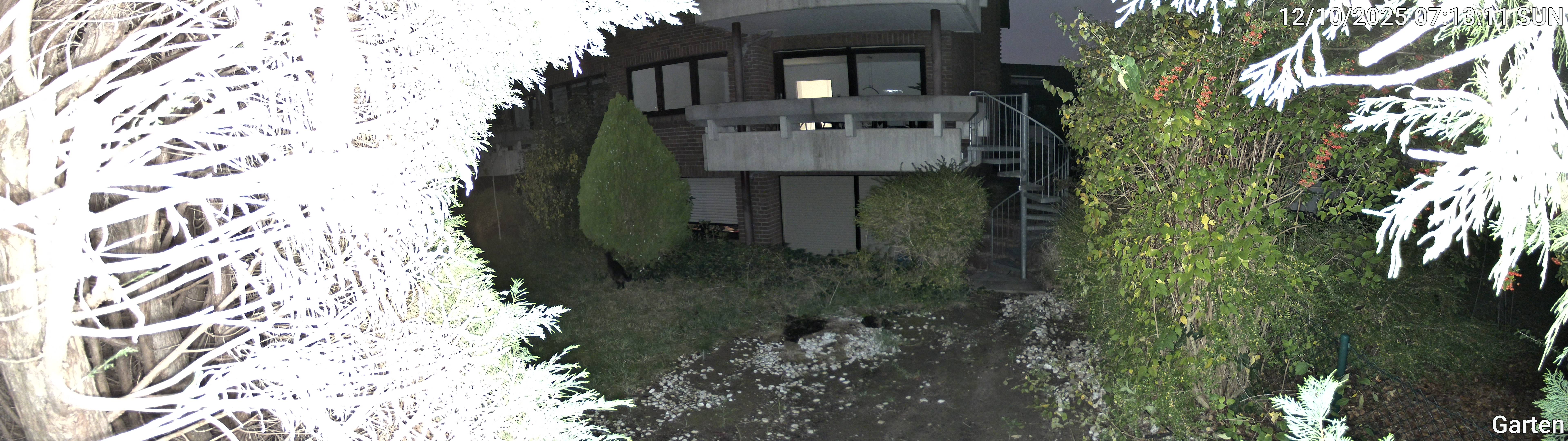 Garten_00_20251012071311.jpg