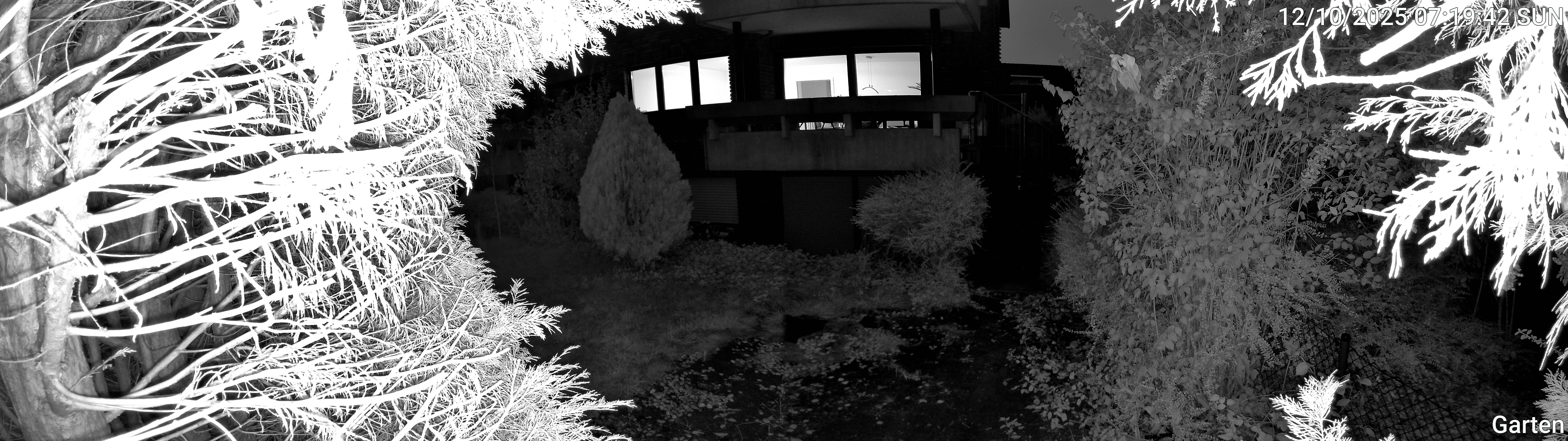 Garten_00_20251012071942.jpg