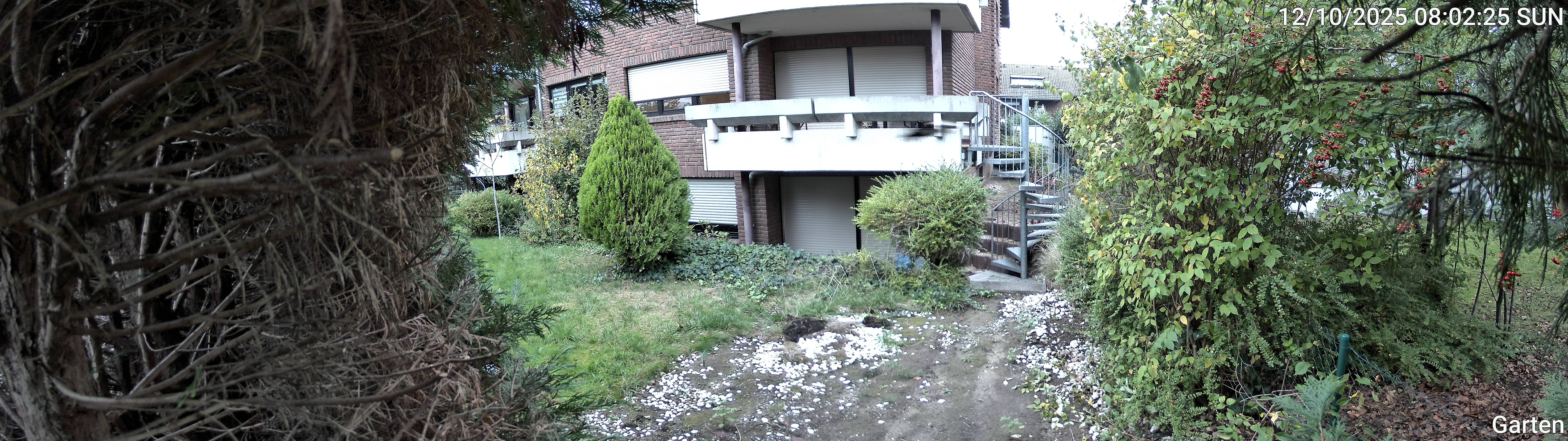 Garten_00_20251012080225.jpg