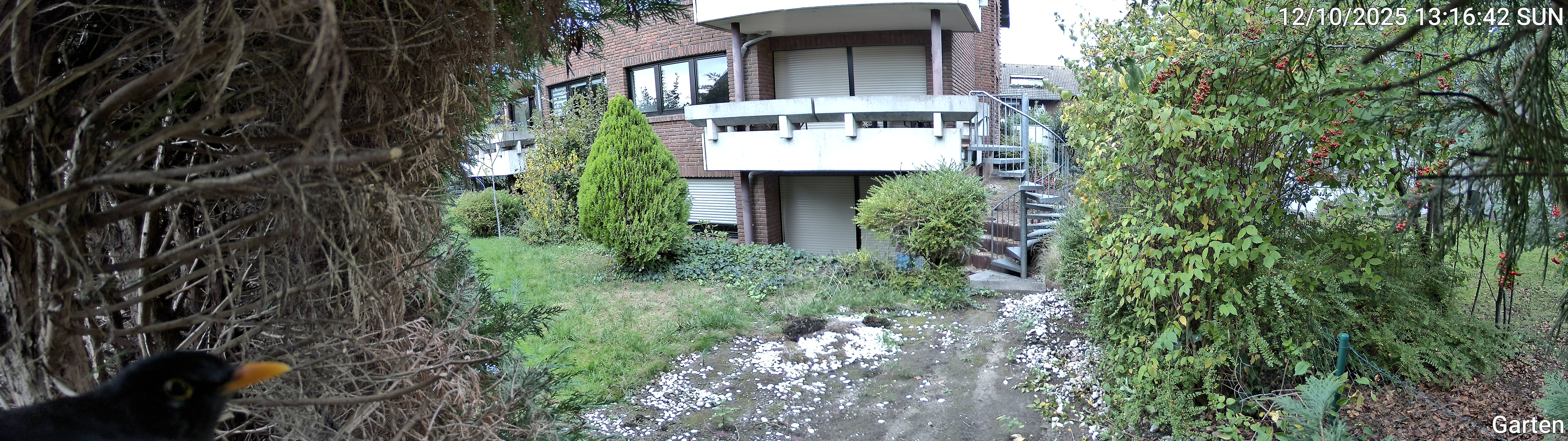 Garten_00_20251012131643.jpg