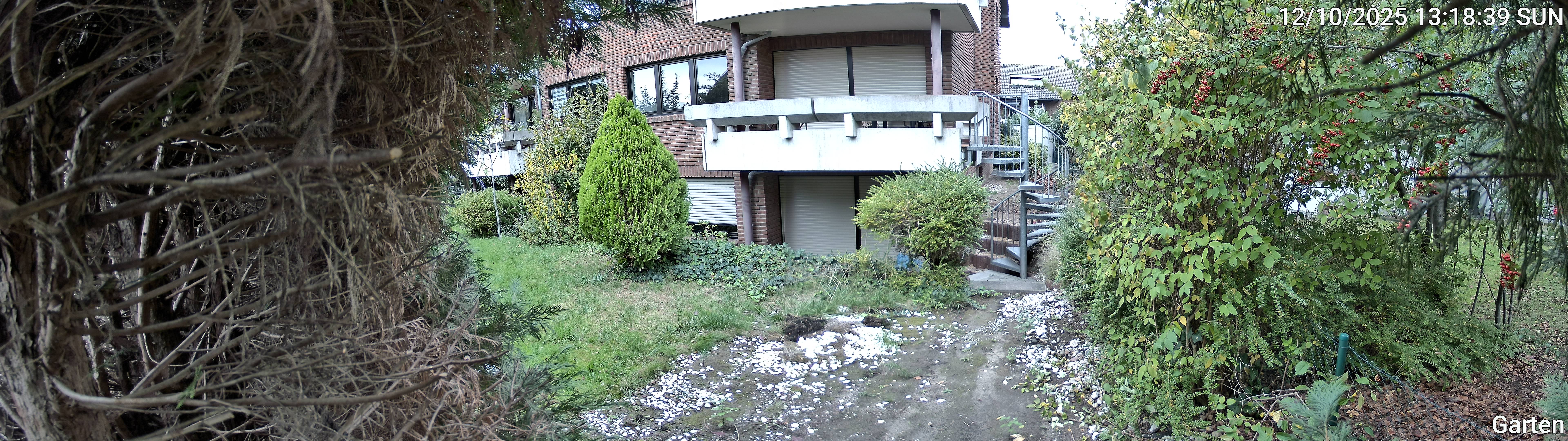 Garten_00_20251012131840.jpg