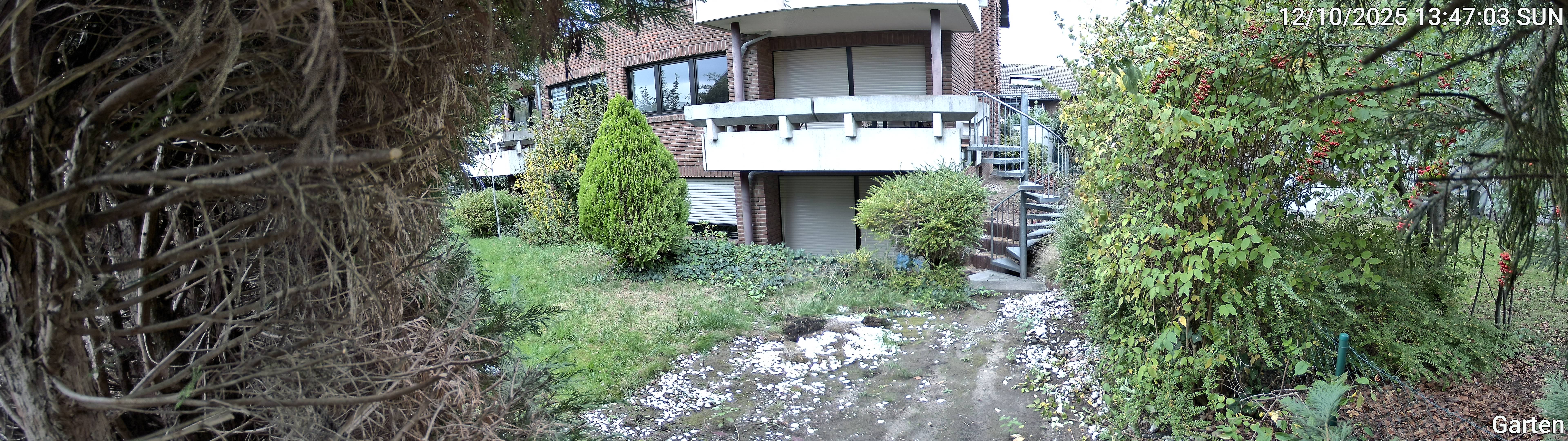 Garten_00_20251012134703.jpg