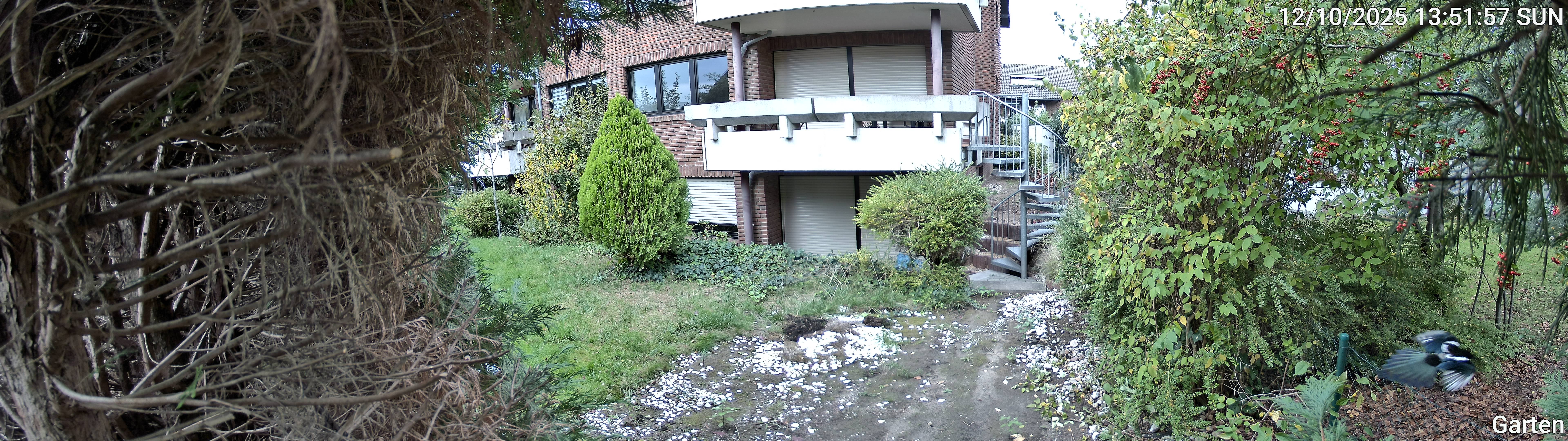 Garten_00_20251012135158.jpg