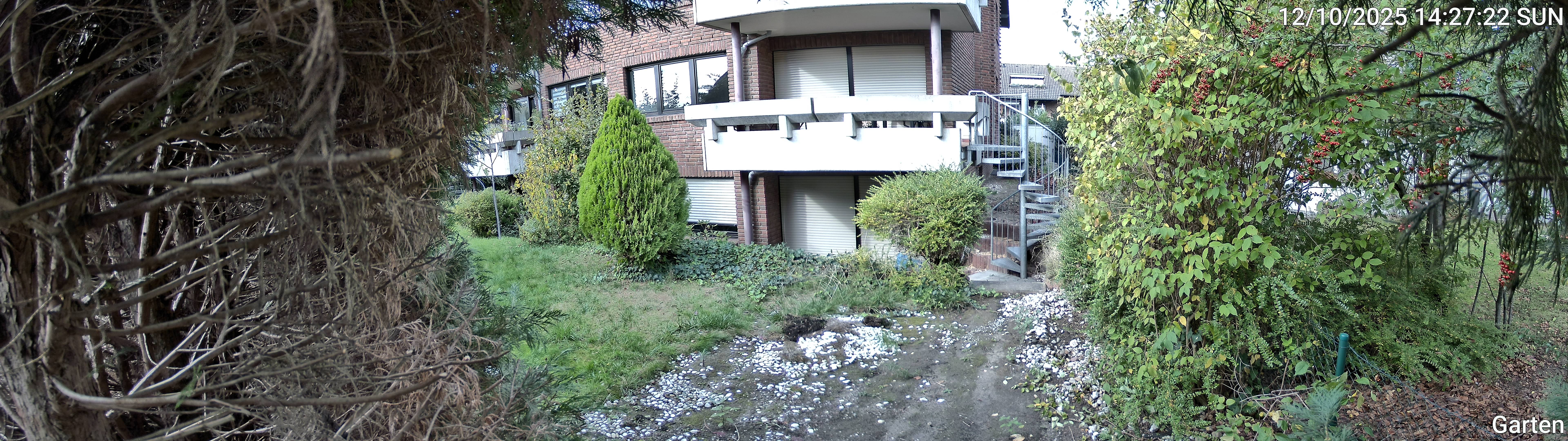 Garten_00_20251012142722.jpg