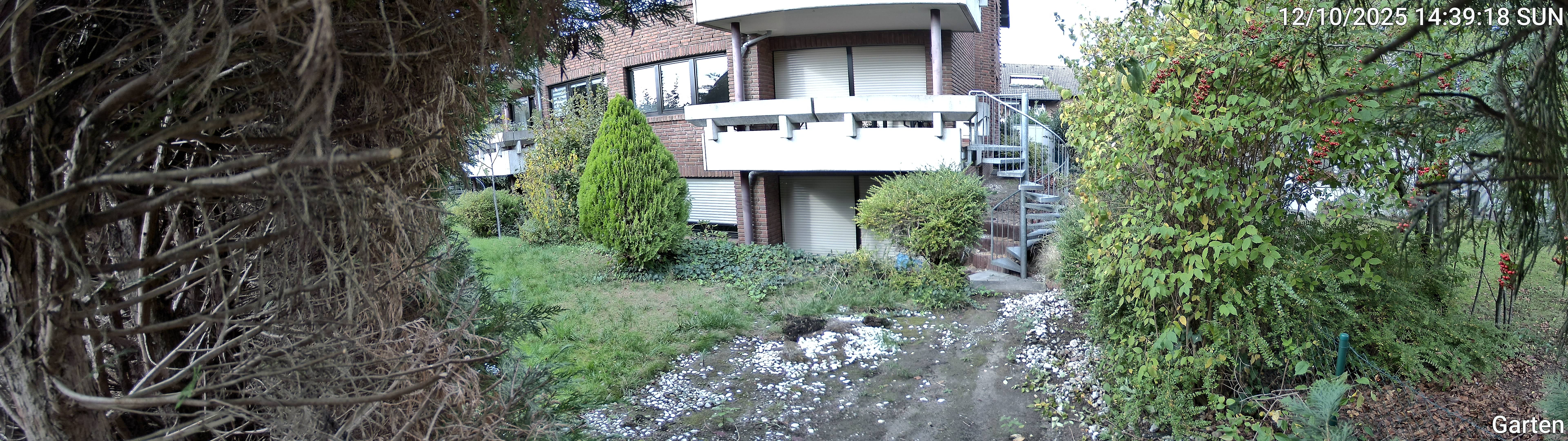 Garten_00_20251012143918.jpg