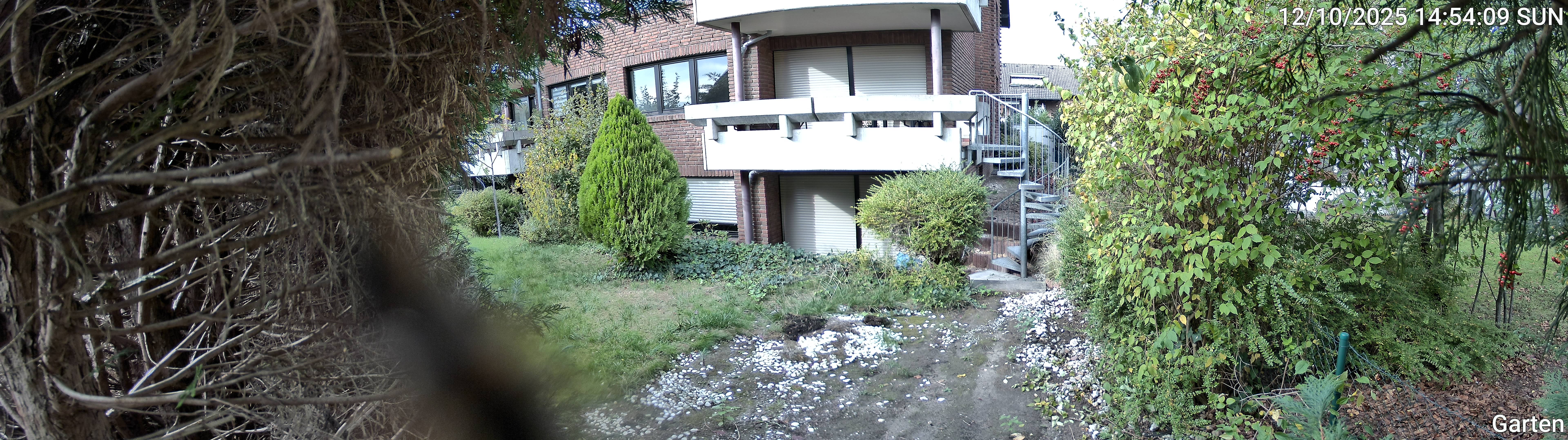 Garten_00_20251012145409.jpg
