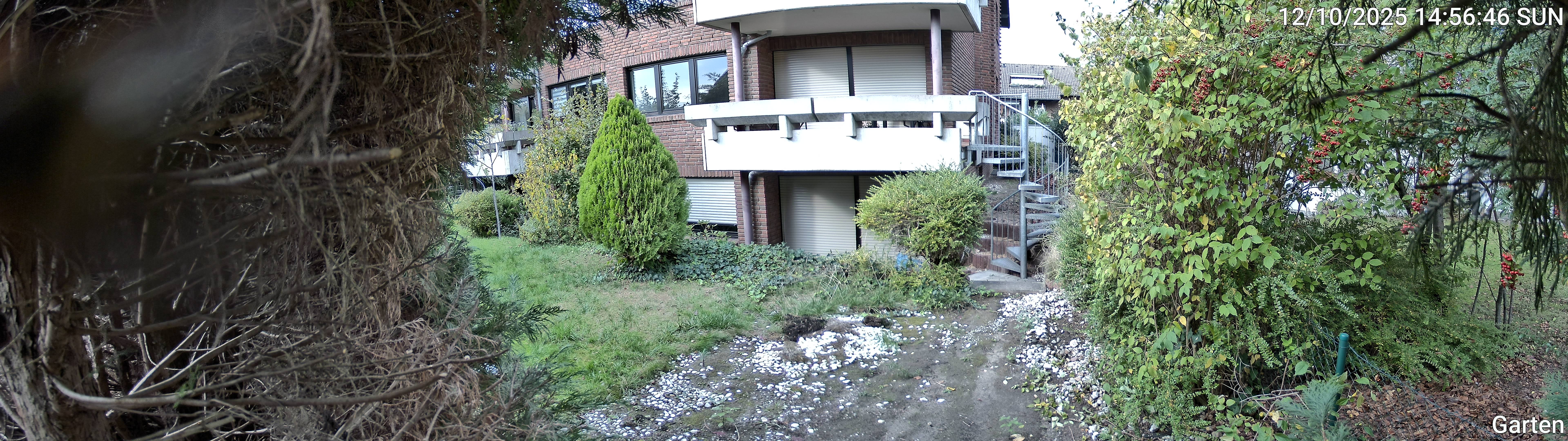 Garten_00_20251012145646.jpg