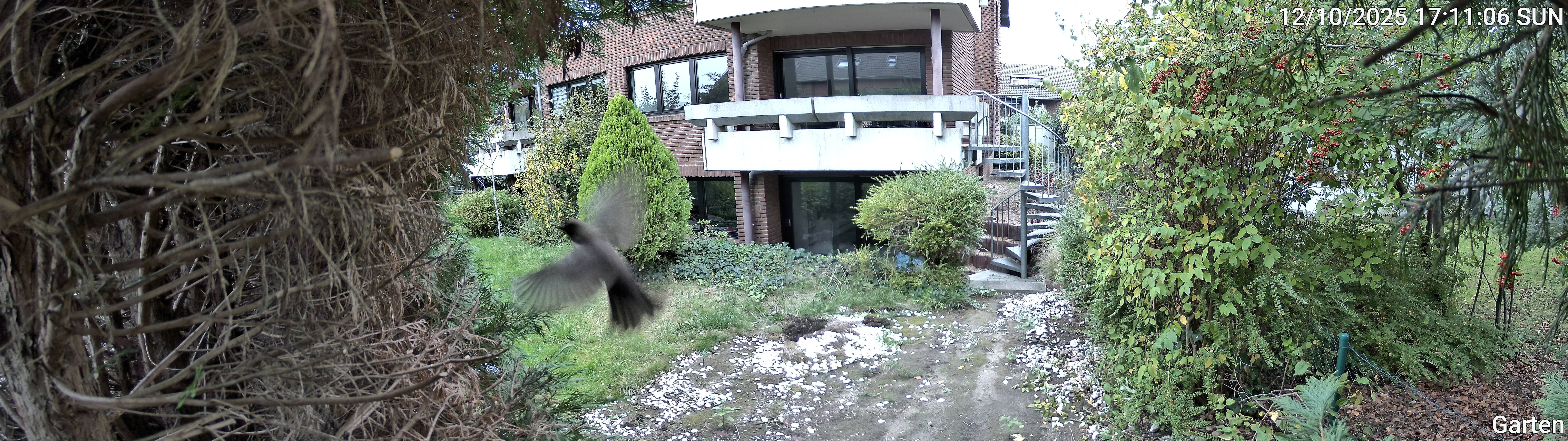 Garten_00_20251012171106.jpg
