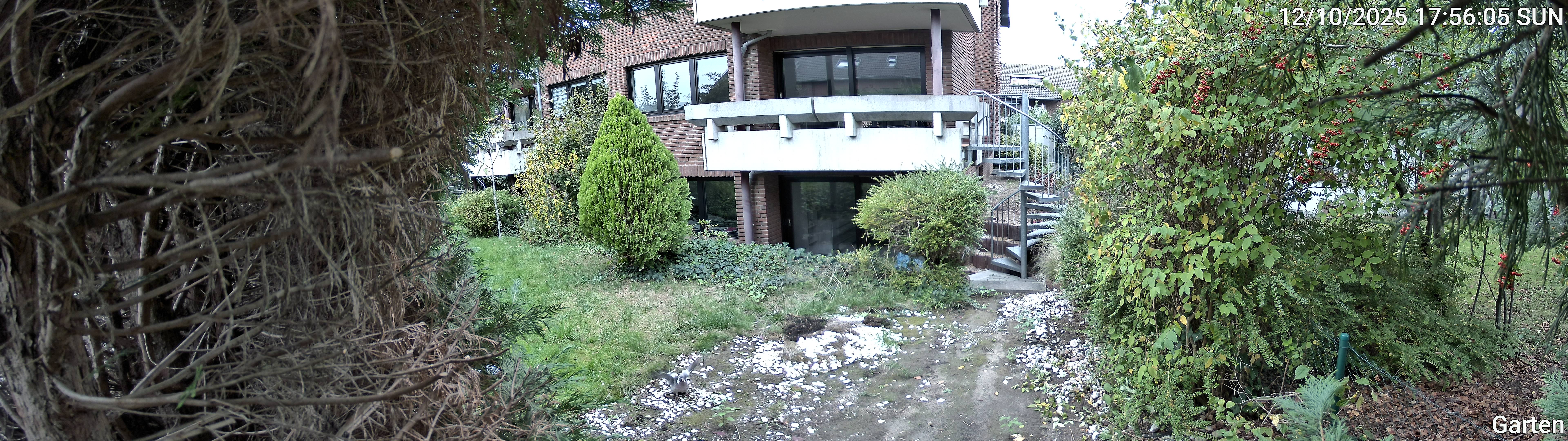 Garten_00_20251012175605.jpg
