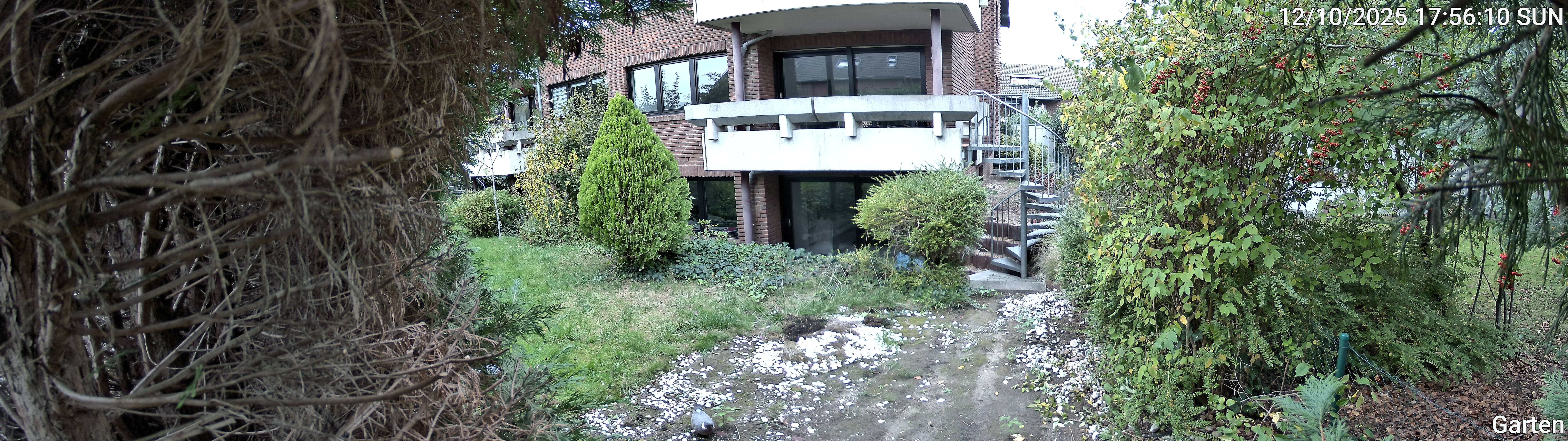 Garten_00_20251012175610.jpg