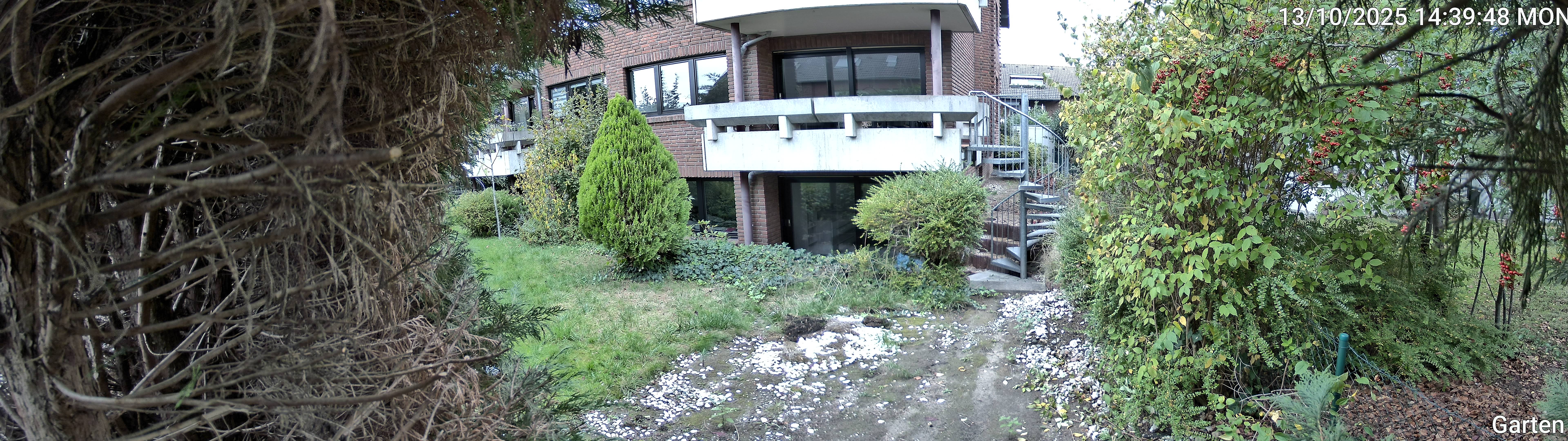 Garten_00_20251013143949.jpg