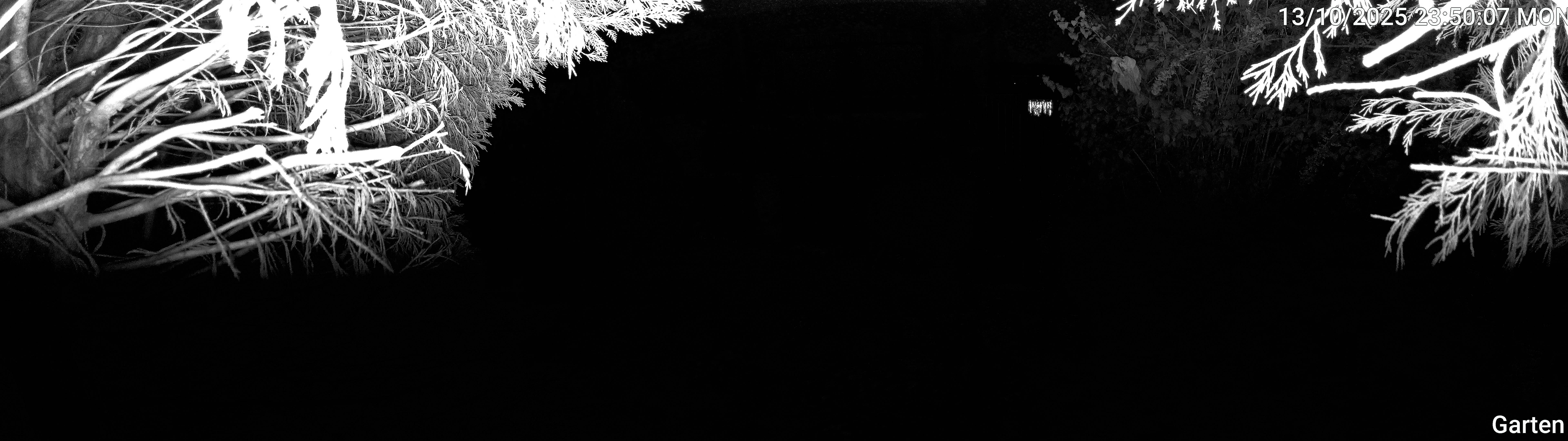 Garten_00_20251013235007.jpg
