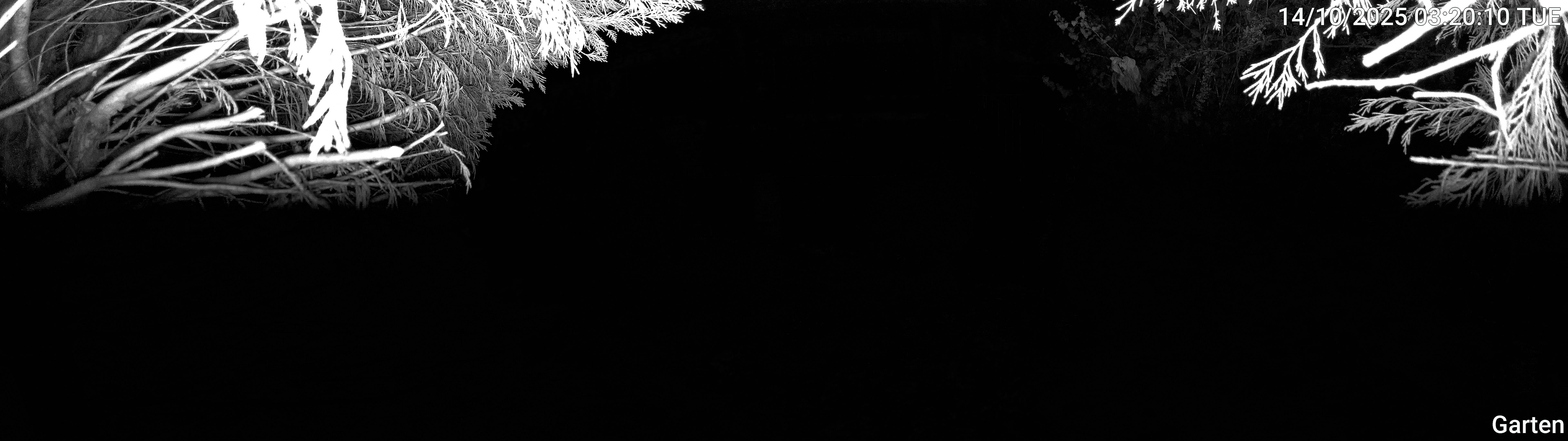 Garten_00_20251014032010.jpg