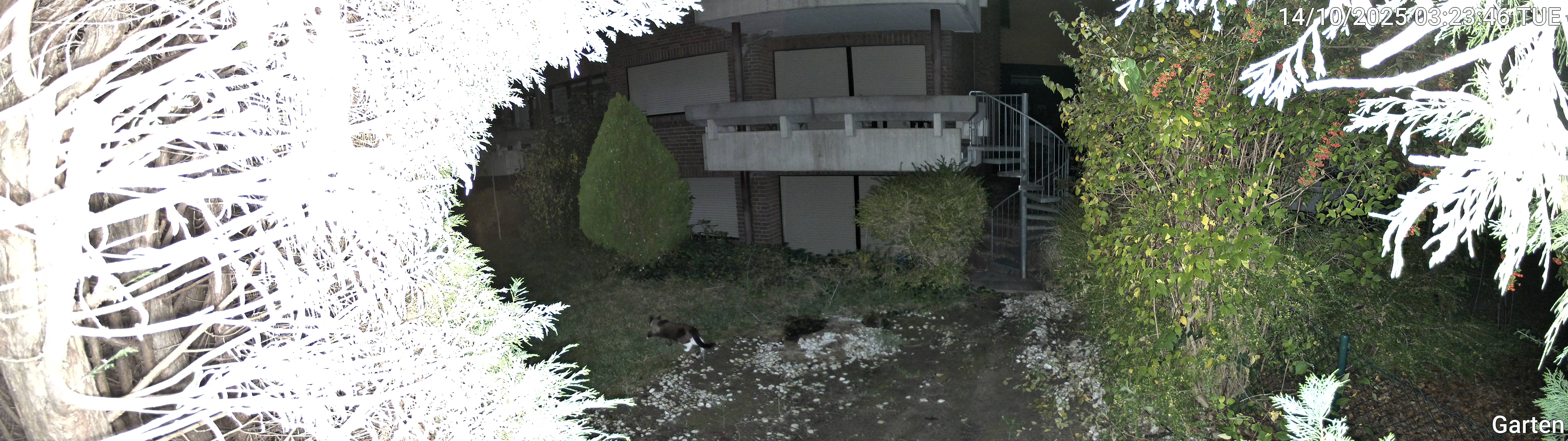 Garten_00_20251014032346.jpg