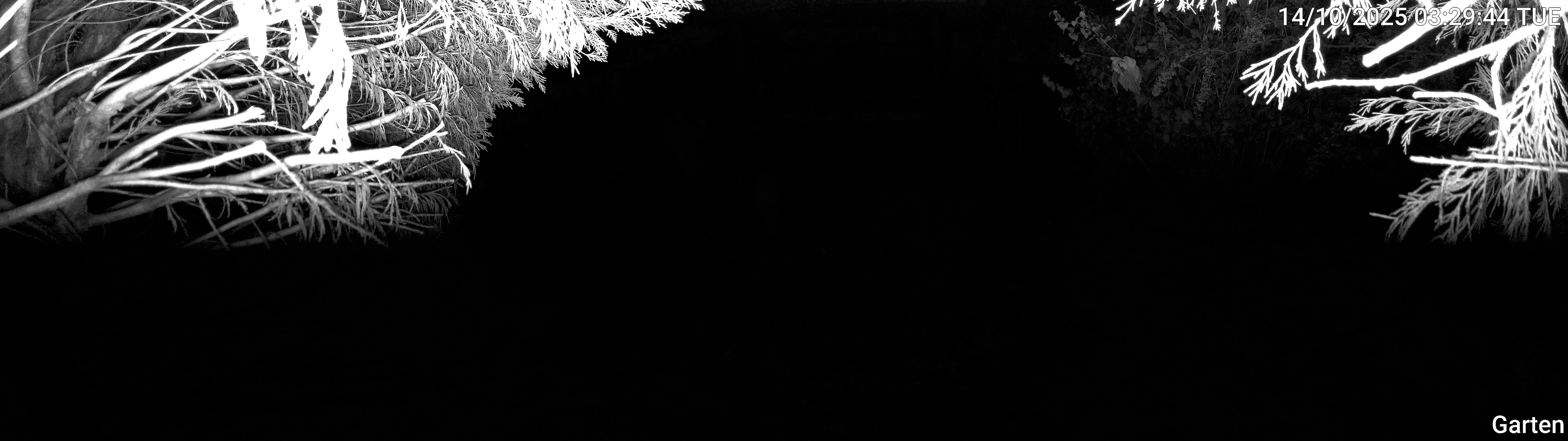 Garten_00_20251014032945.jpg