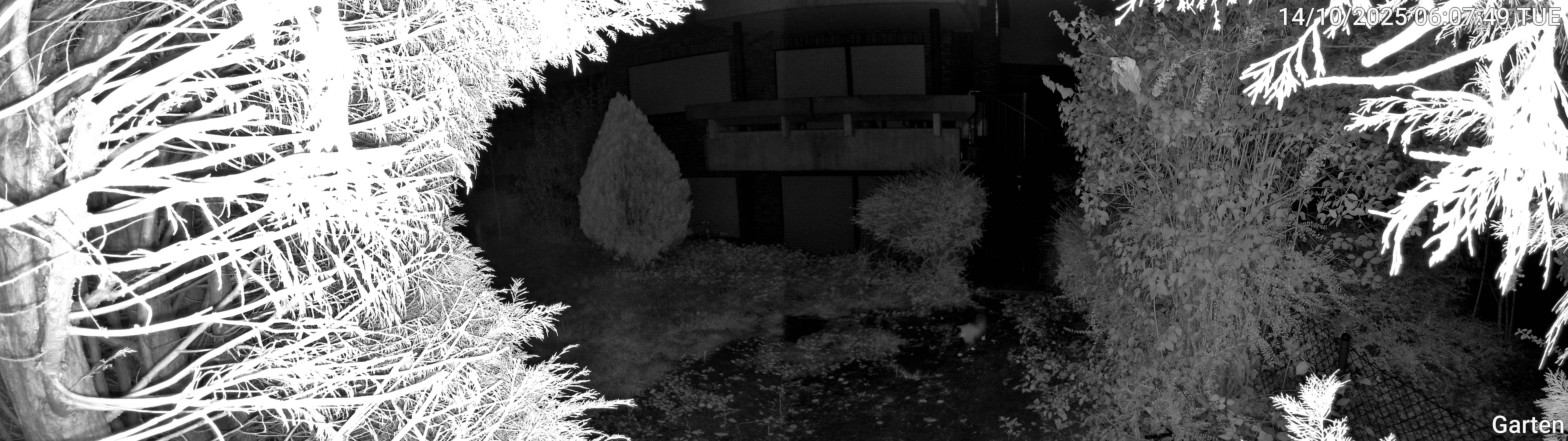Garten_00_20251014060749.jpg