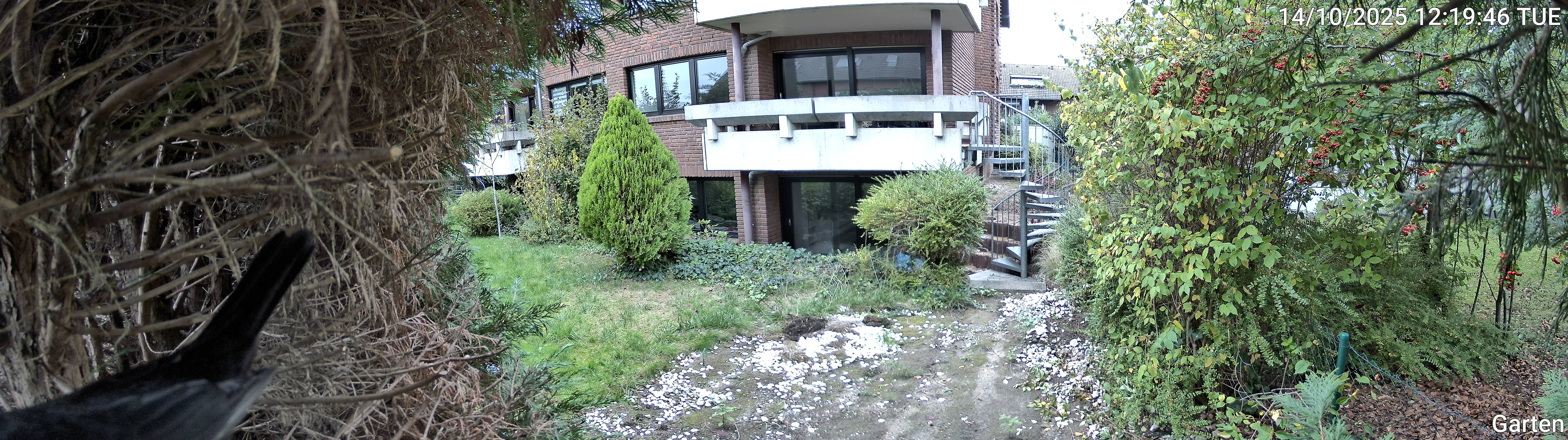 Garten_00_20251014121946.jpg