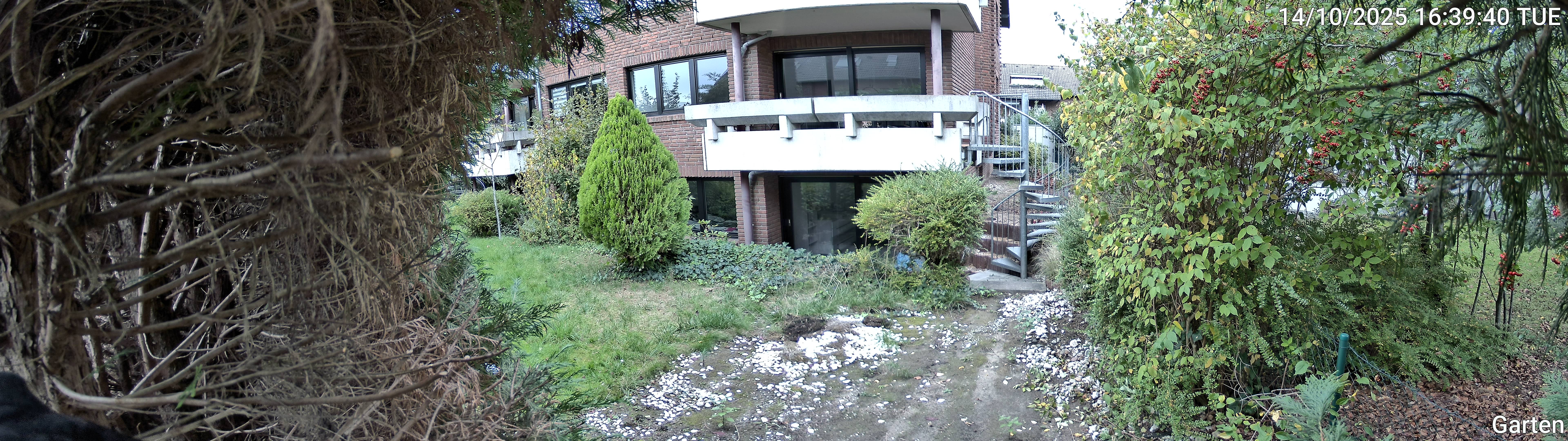 Garten_00_20251014163941.jpg