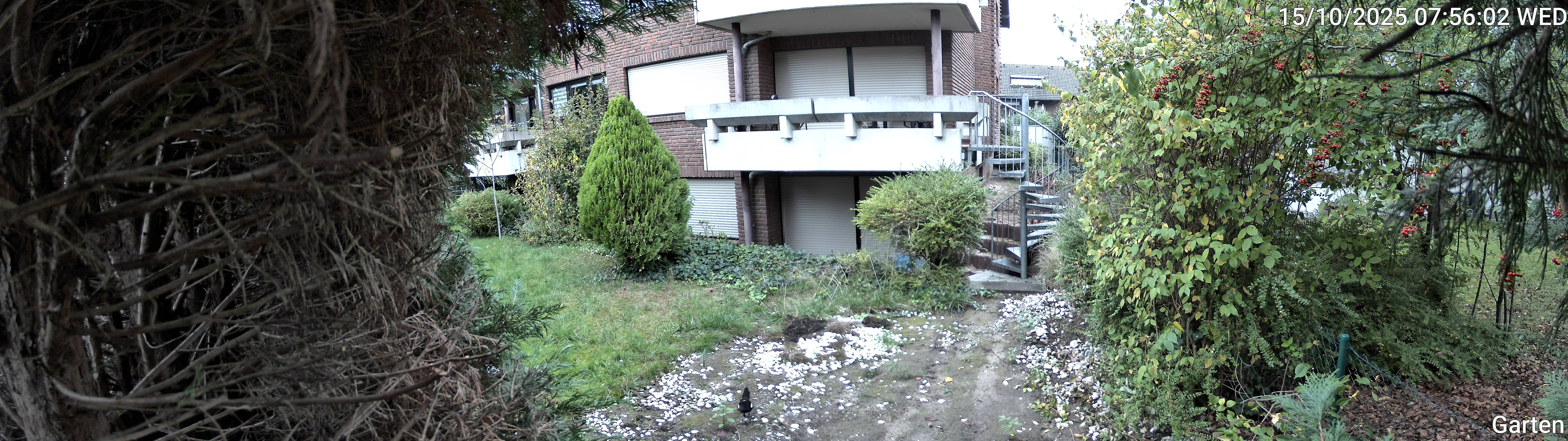 Garten_00_20251015075602.jpg