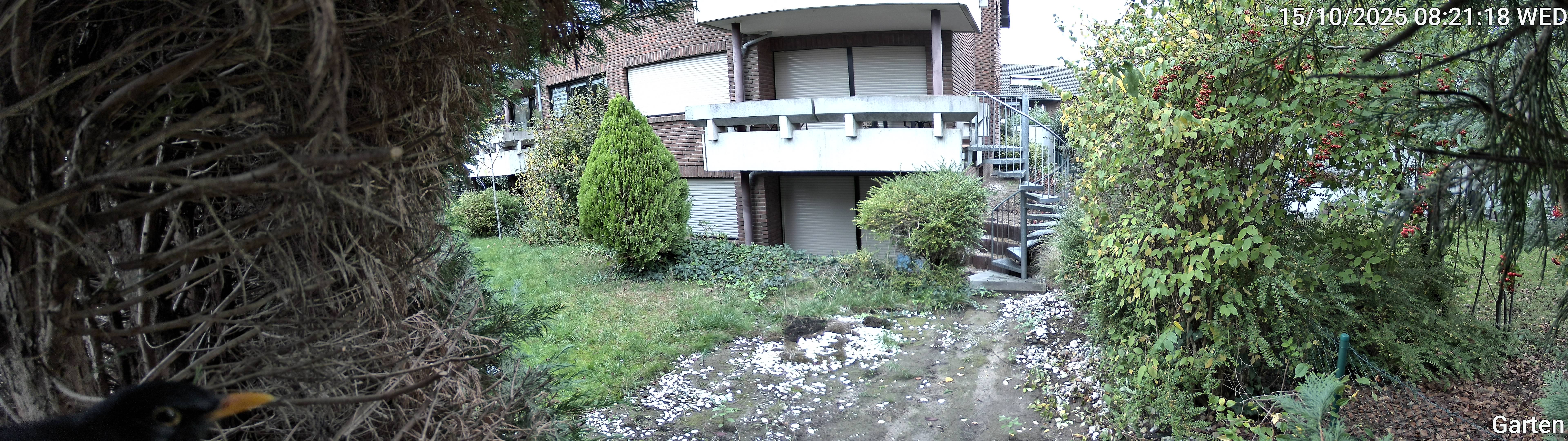 Garten_00_20251015082118.jpg