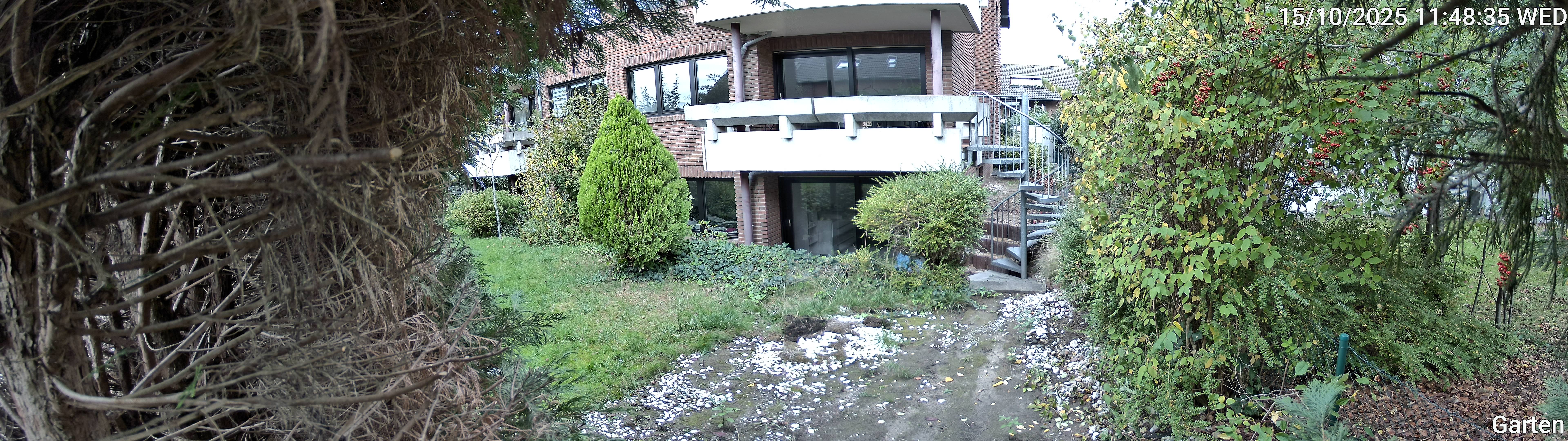 Garten_00_20251015114835.jpg