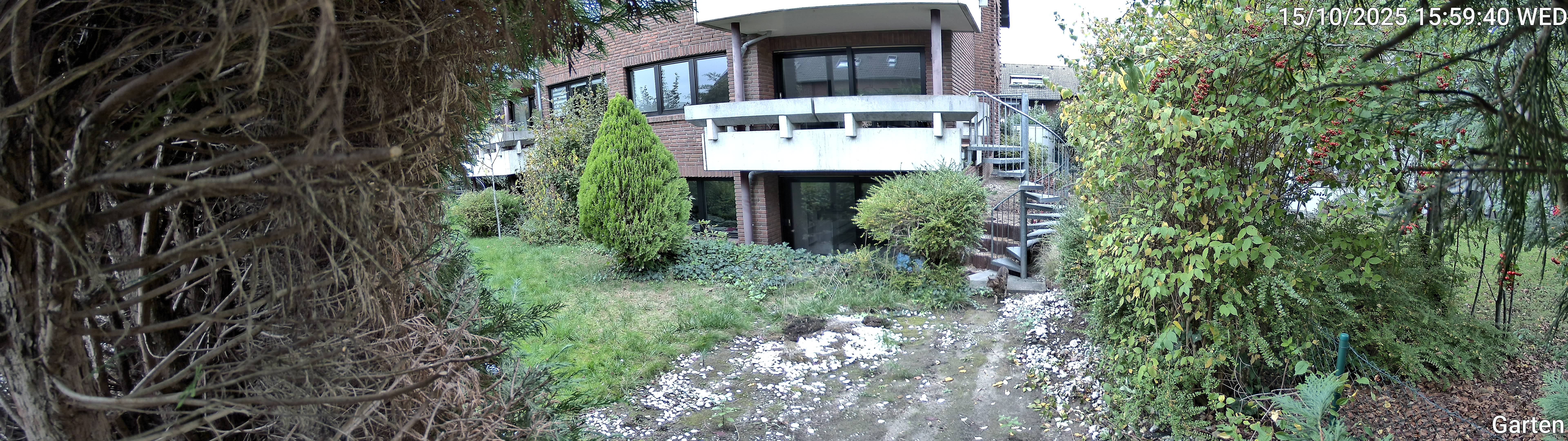 Garten_00_20251015155940.jpg