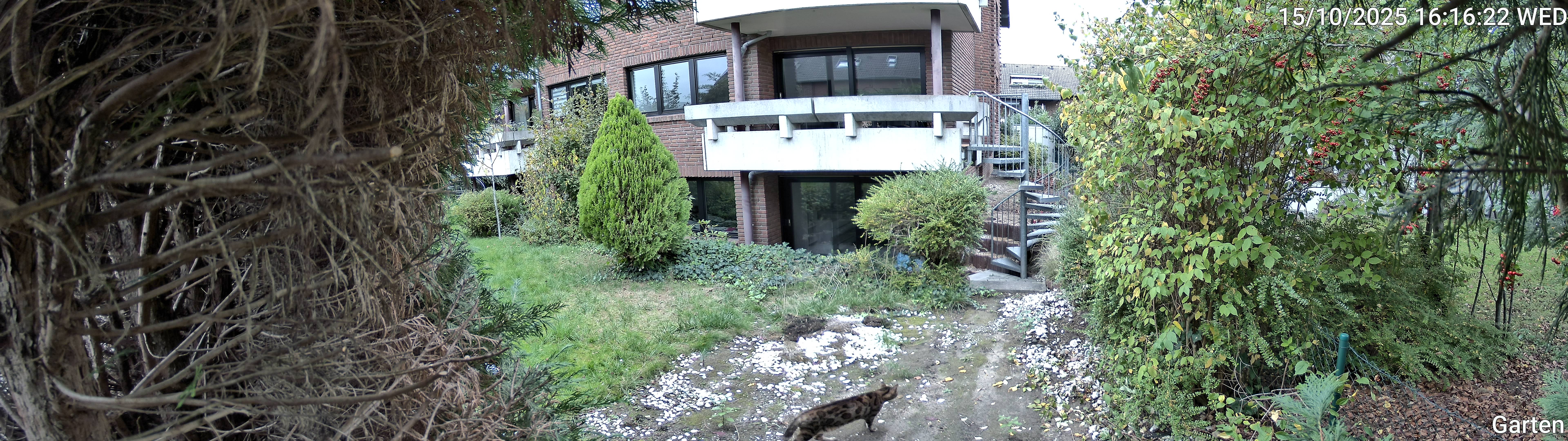 Garten_00_20251015161623.jpg