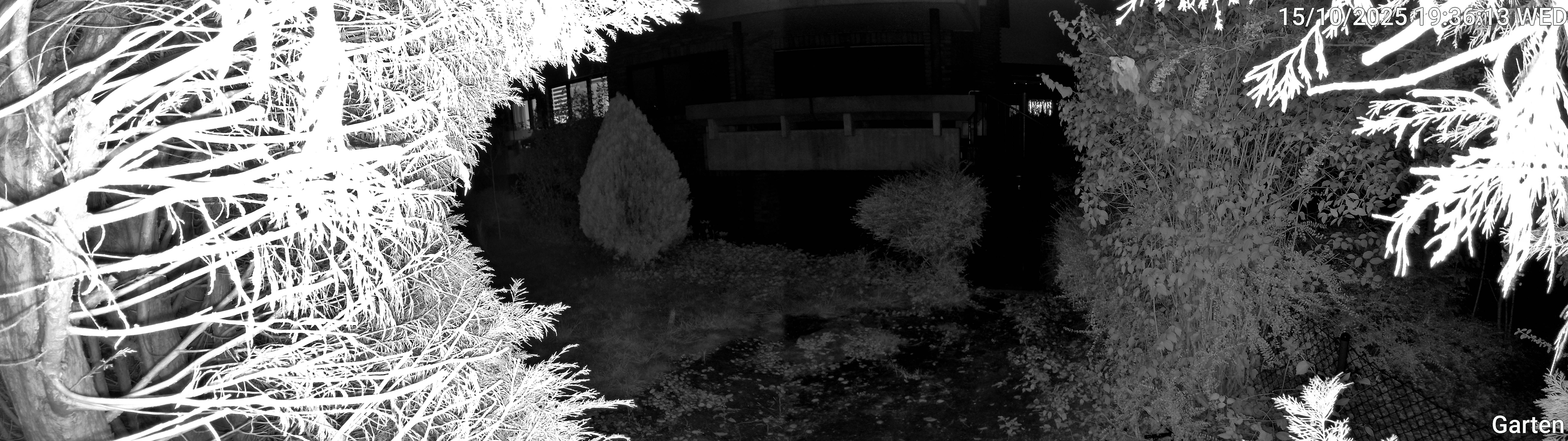 Garten_00_20251015193613.jpg