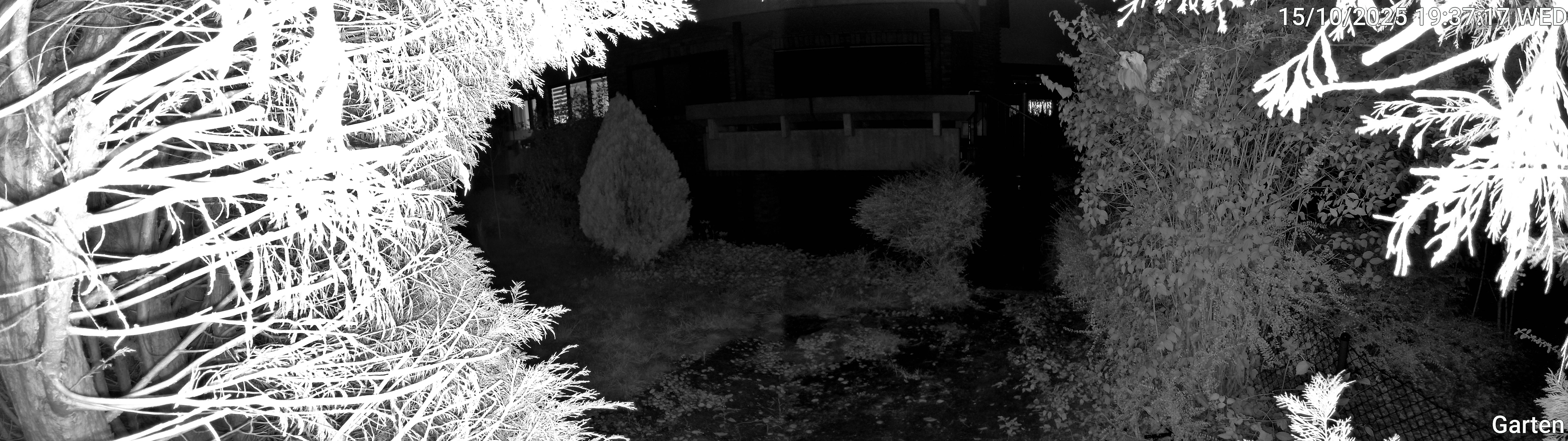 Garten_00_20251015193718.jpg