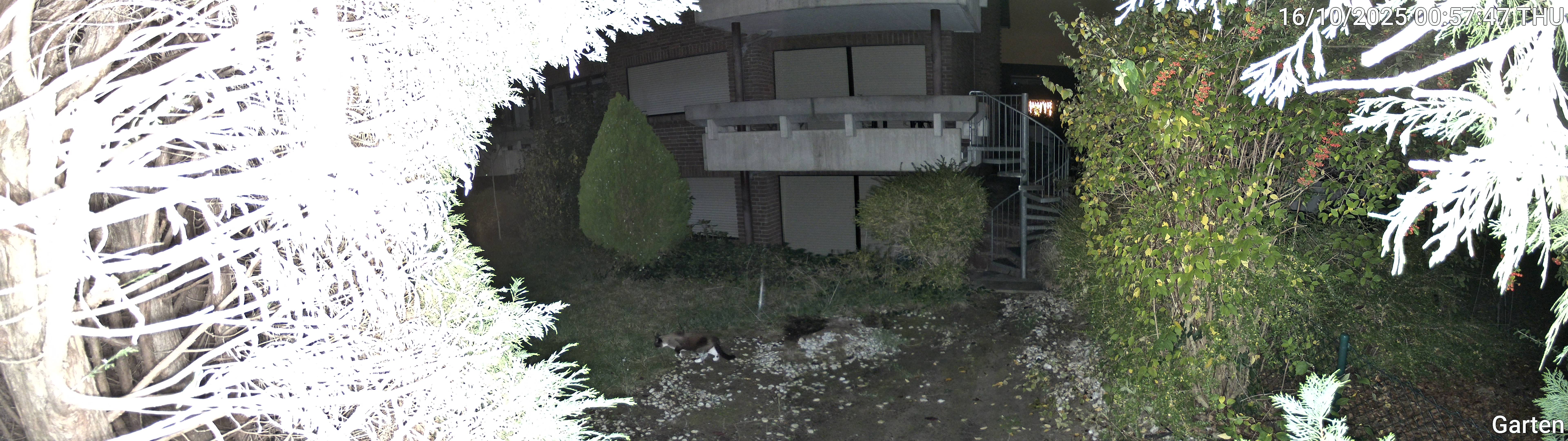 Garten_00_20251016005747.jpg