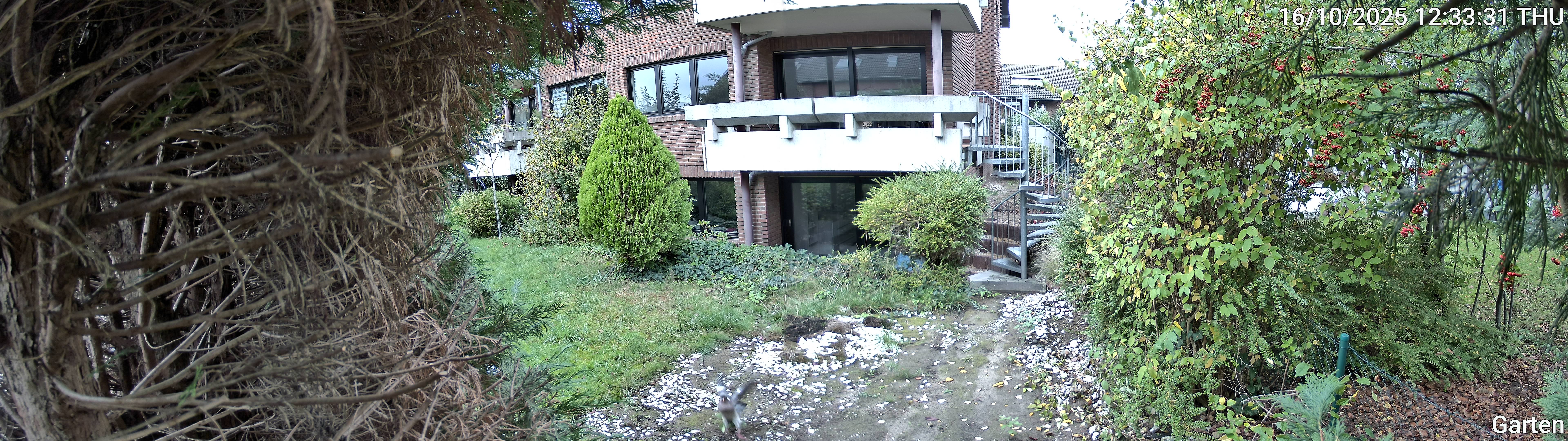 Garten_00_20251016123331.jpg