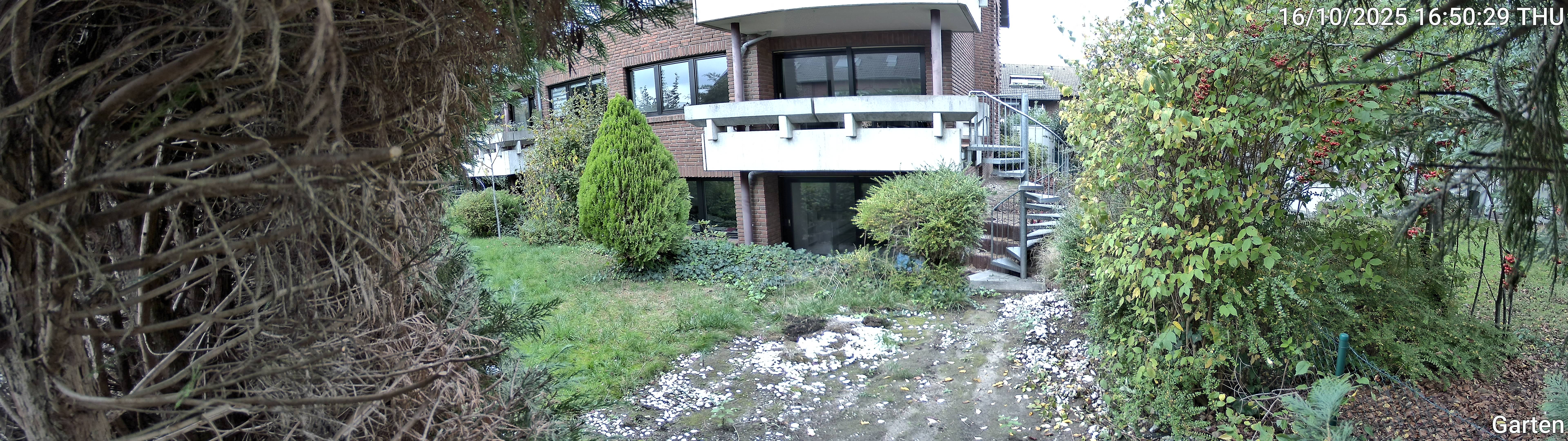 Garten_00_20251016165029.jpg