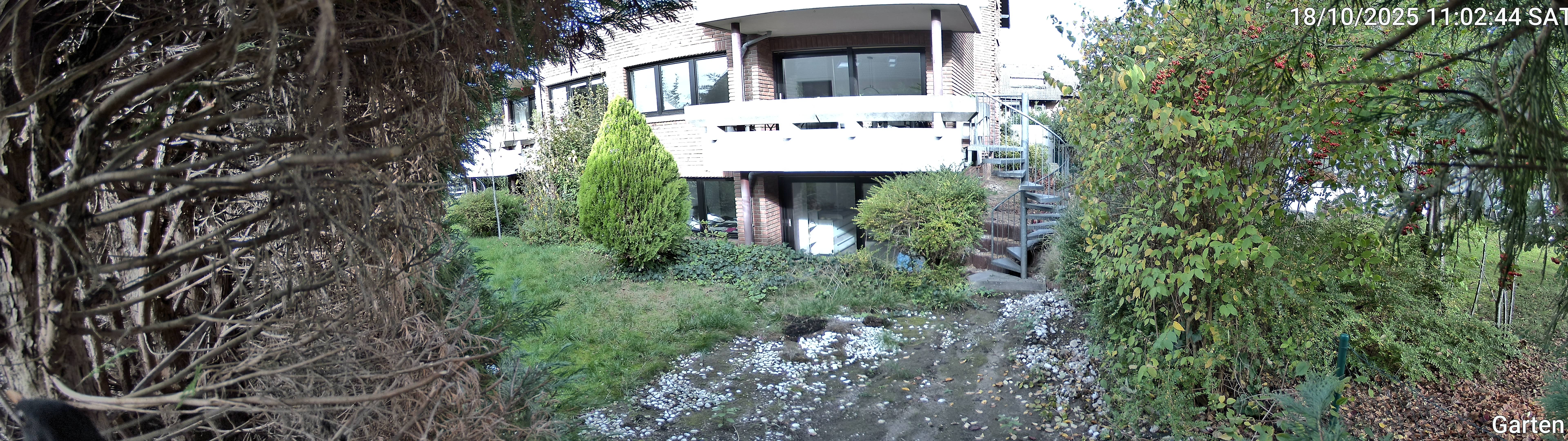 Garten_00_20251018110244.jpg