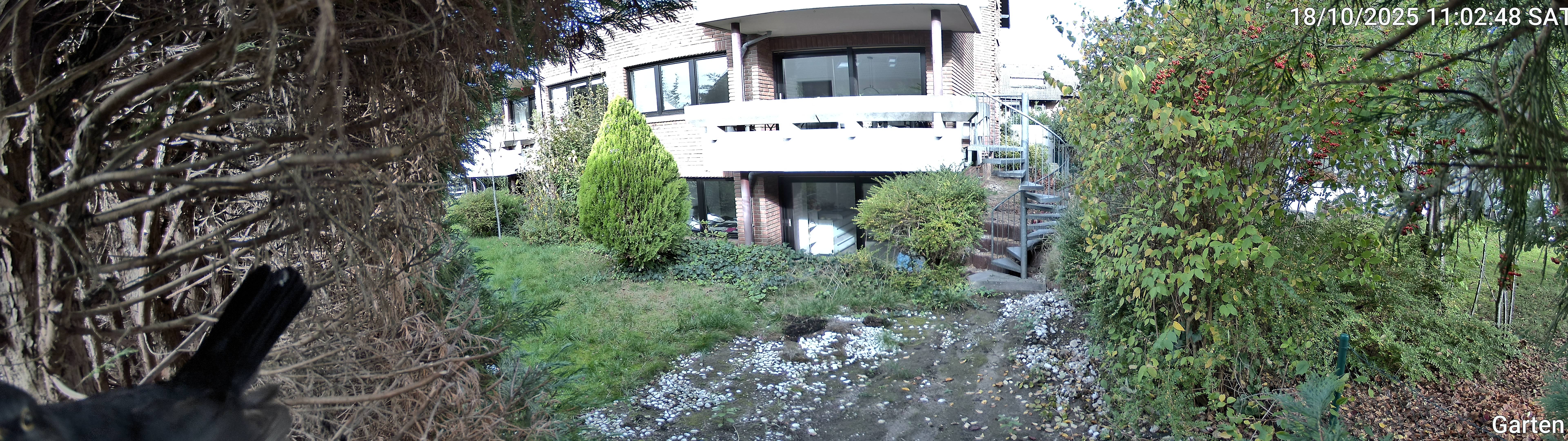 Garten_00_20251018110248.jpg
