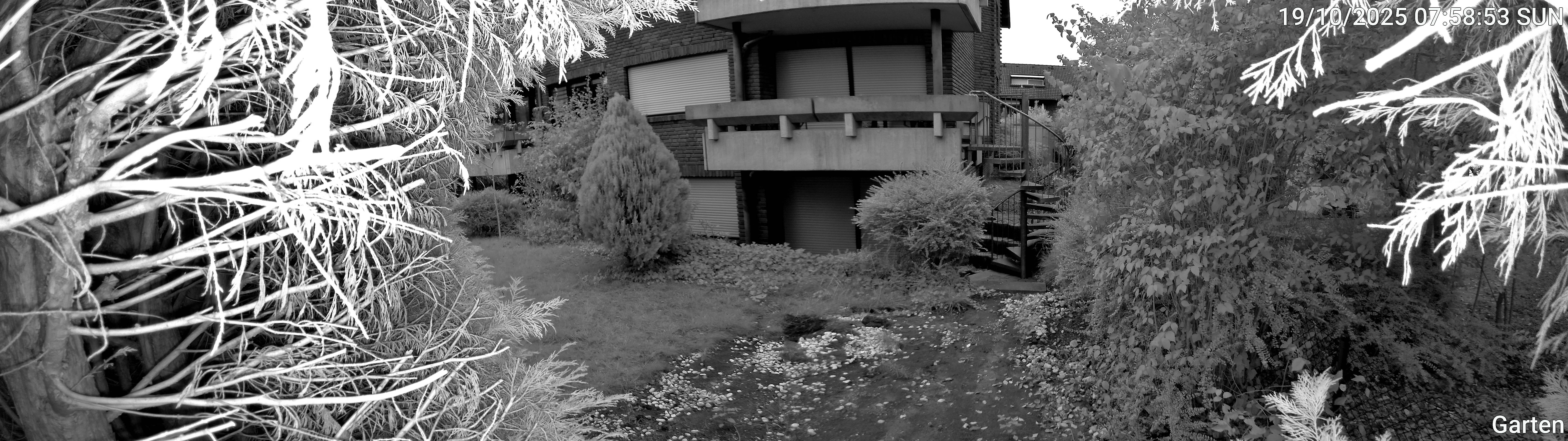 Garten_00_20251019075854.jpg