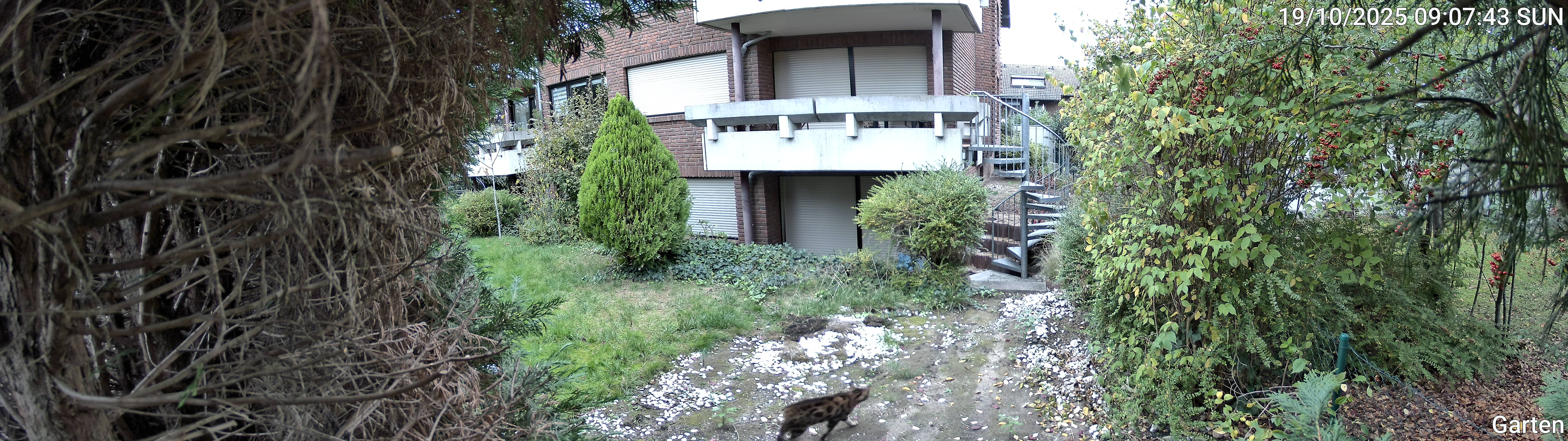 Garten_00_20251019090743.jpg