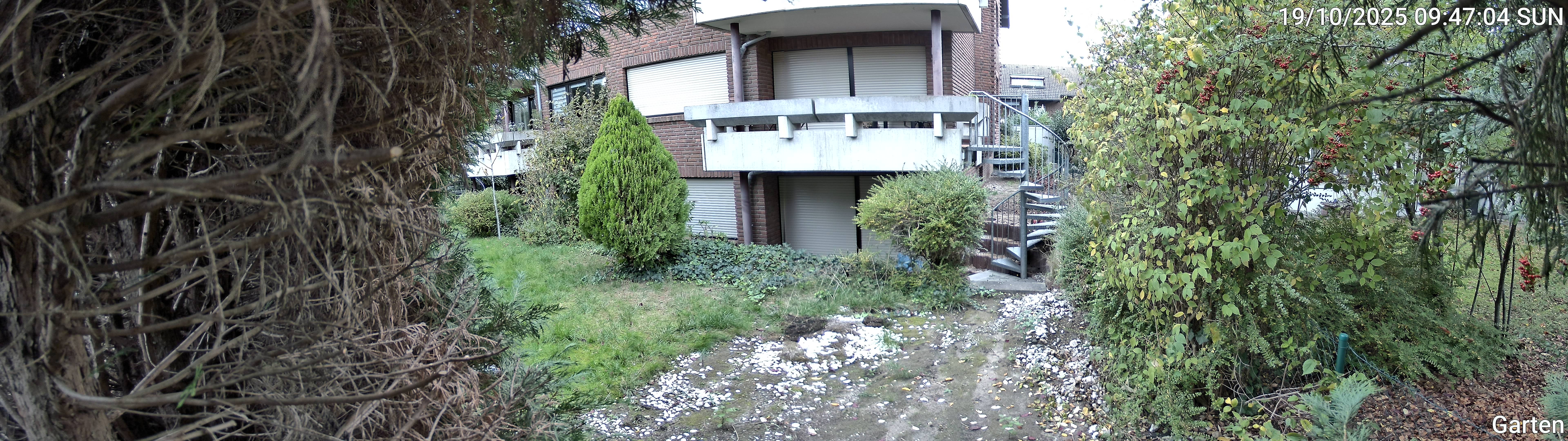 Garten_00_20251019094704.jpg