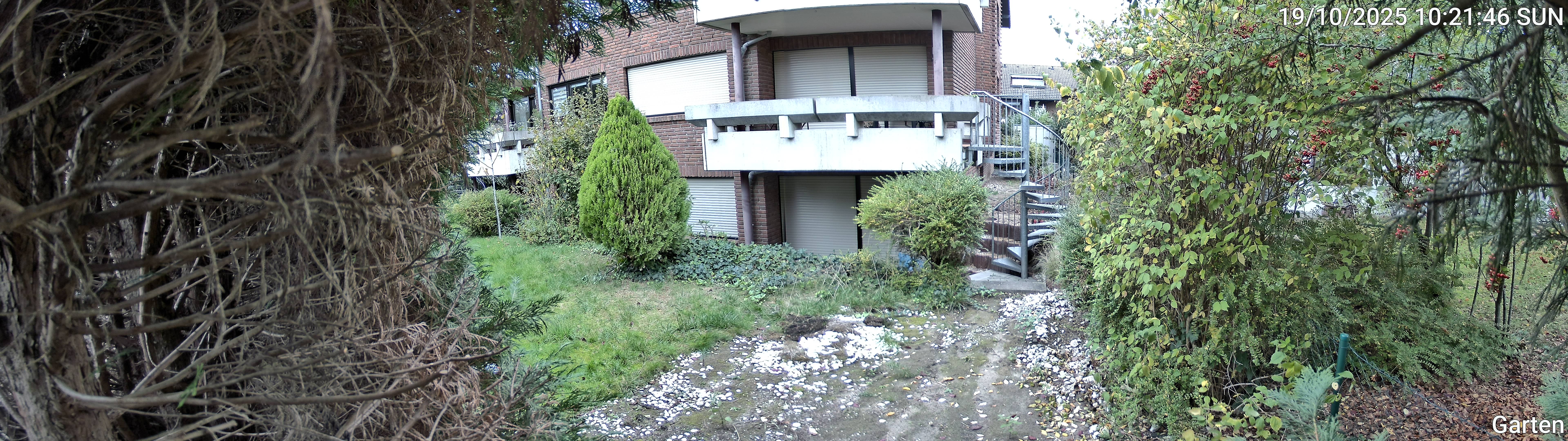 Garten_00_20251019102146.jpg