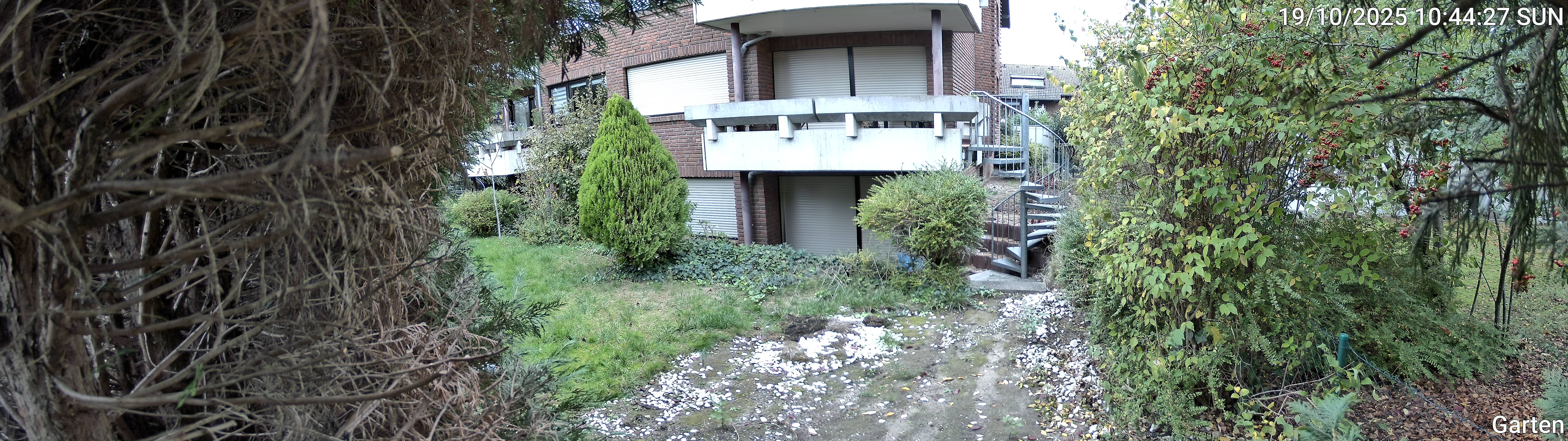 Garten_00_20251019104428.jpg