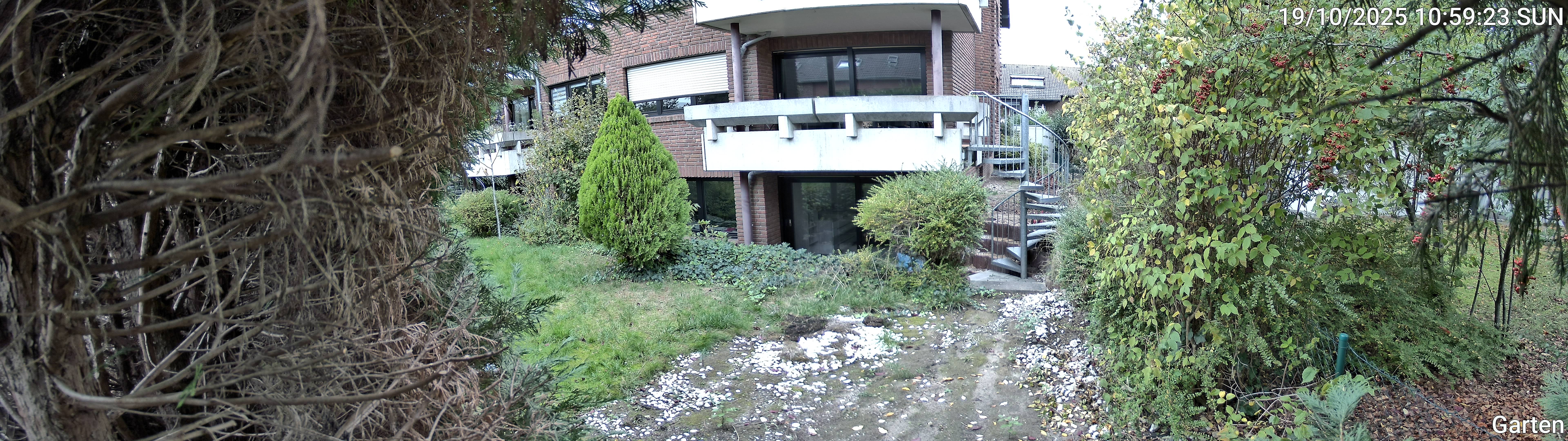 Garten_00_20251019105923.jpg