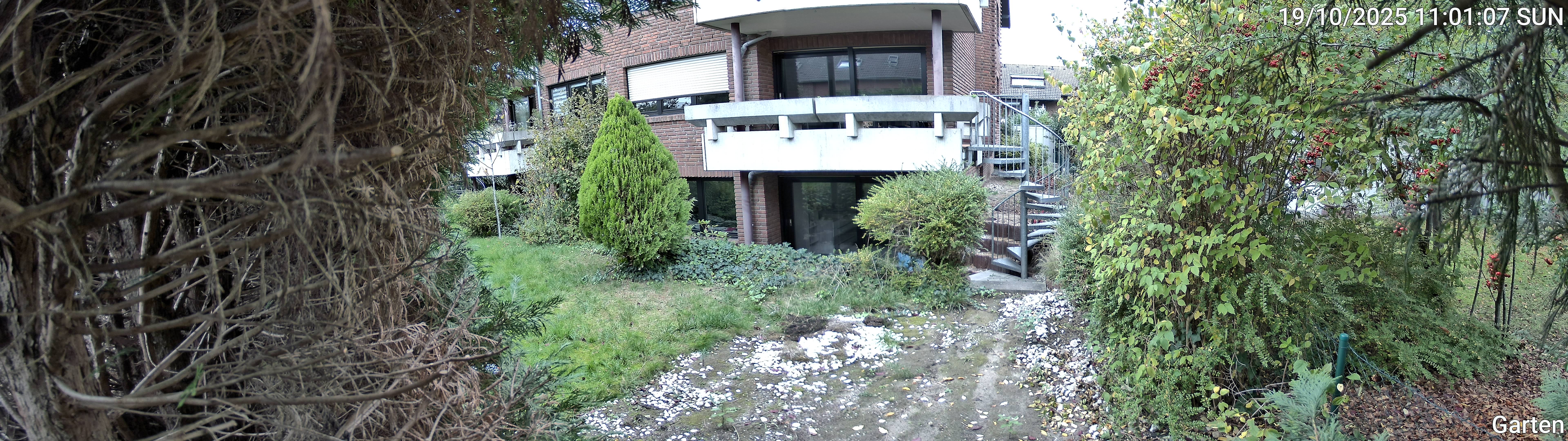 Garten_00_20251019110107.jpg