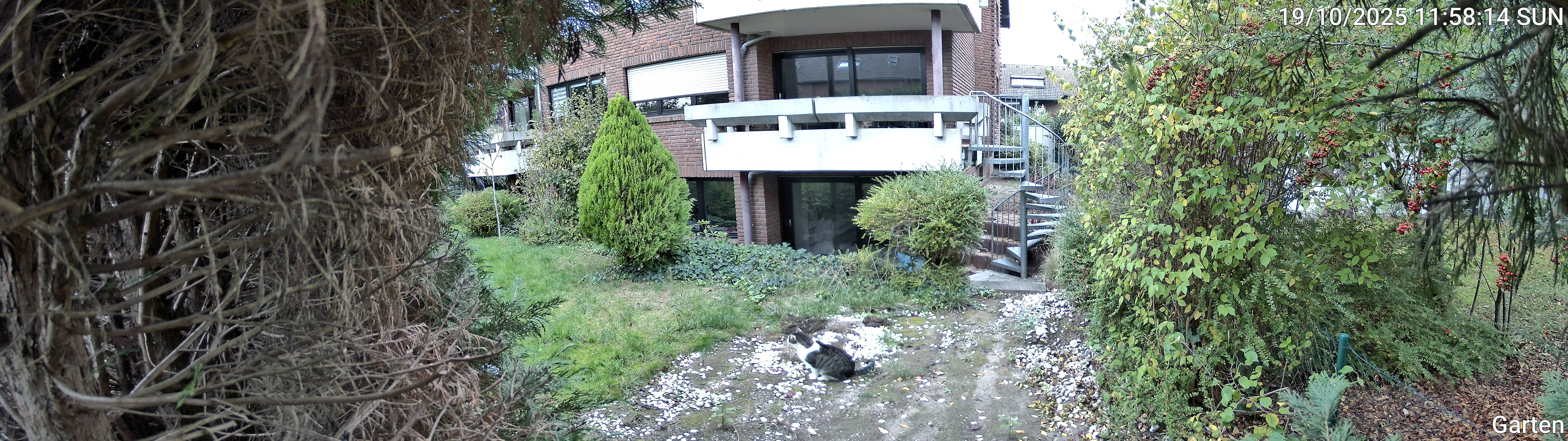 Garten_00_20251019115814.jpg