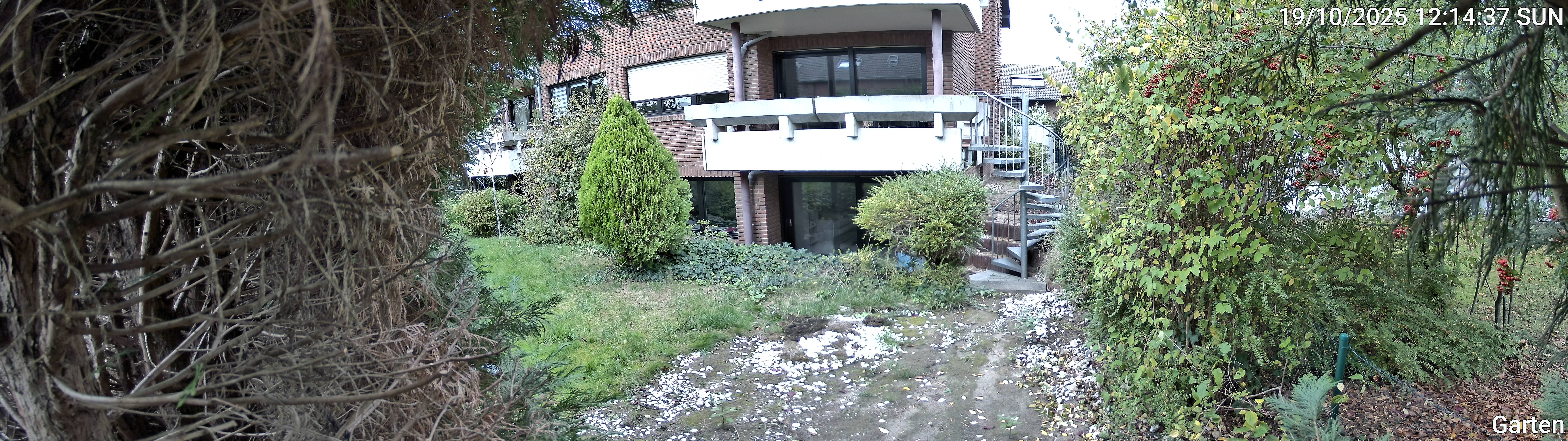 Garten_00_20251019121438.jpg