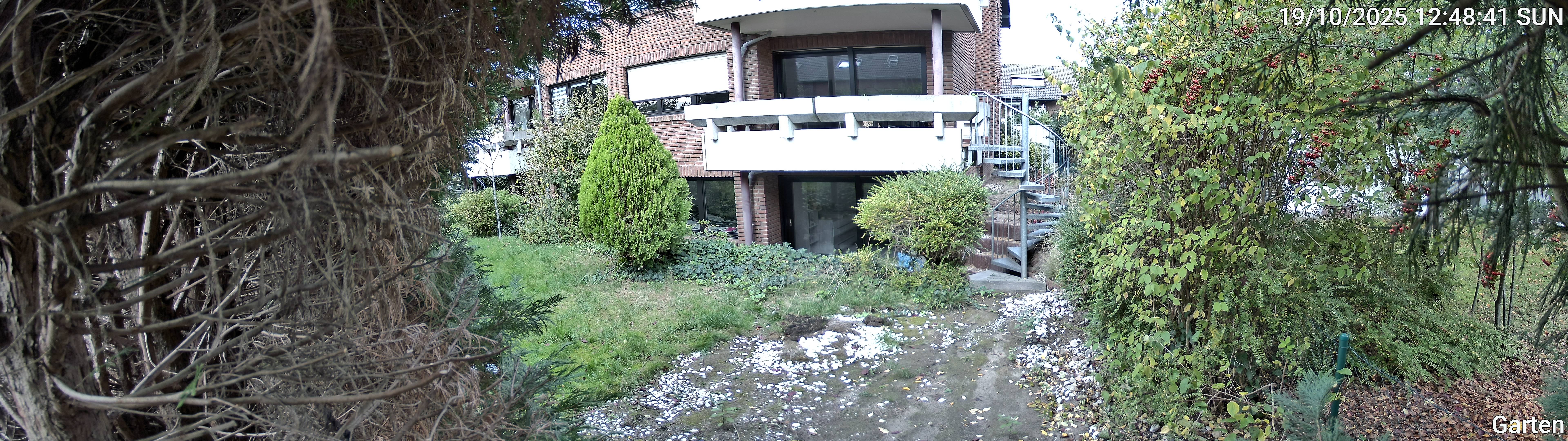 Garten_00_20251019124841.jpg